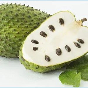 Na sấy thăng hoa
